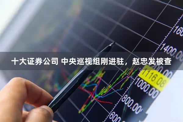 十大证券公司 中央巡视组刚进驻，赵忠发被查